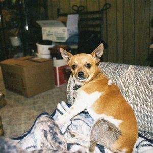 Meet your Posher, Vicky